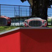 Three Ferraris for man's best friend