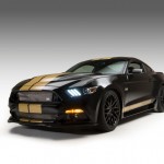 Ford Performance - Shelby - Hertz (1)