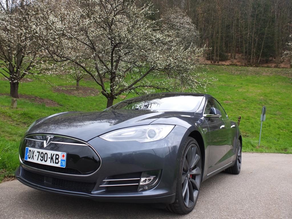 Tesla Model S P90D dans le vignoble allemand