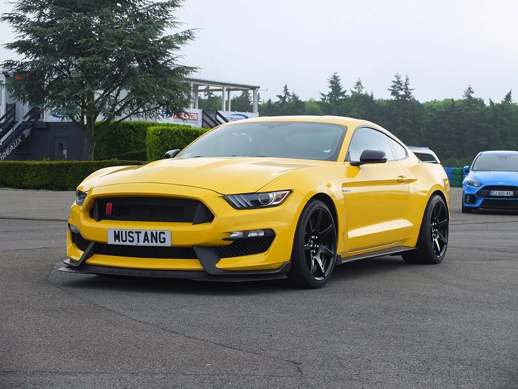 ford mustang shelby adrenalineday