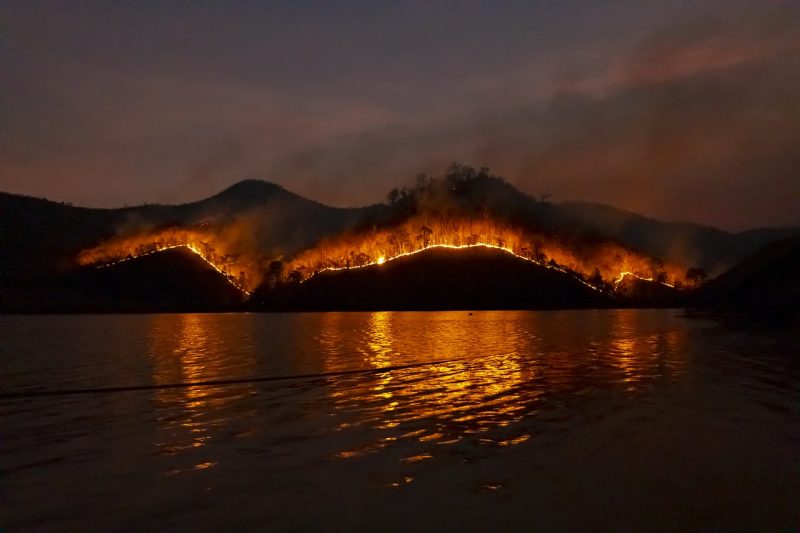 incendie de foret