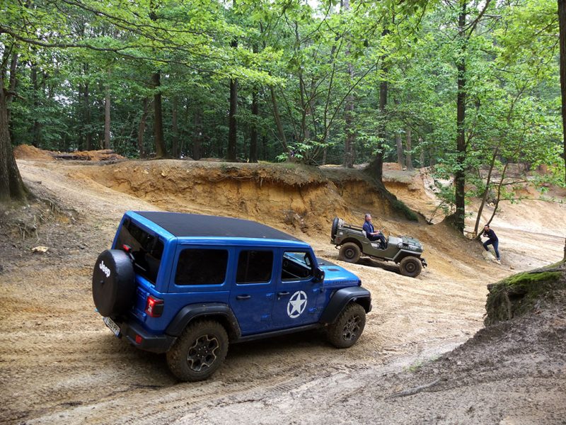 Jeep Wrangler 4xe et Jeep Willys